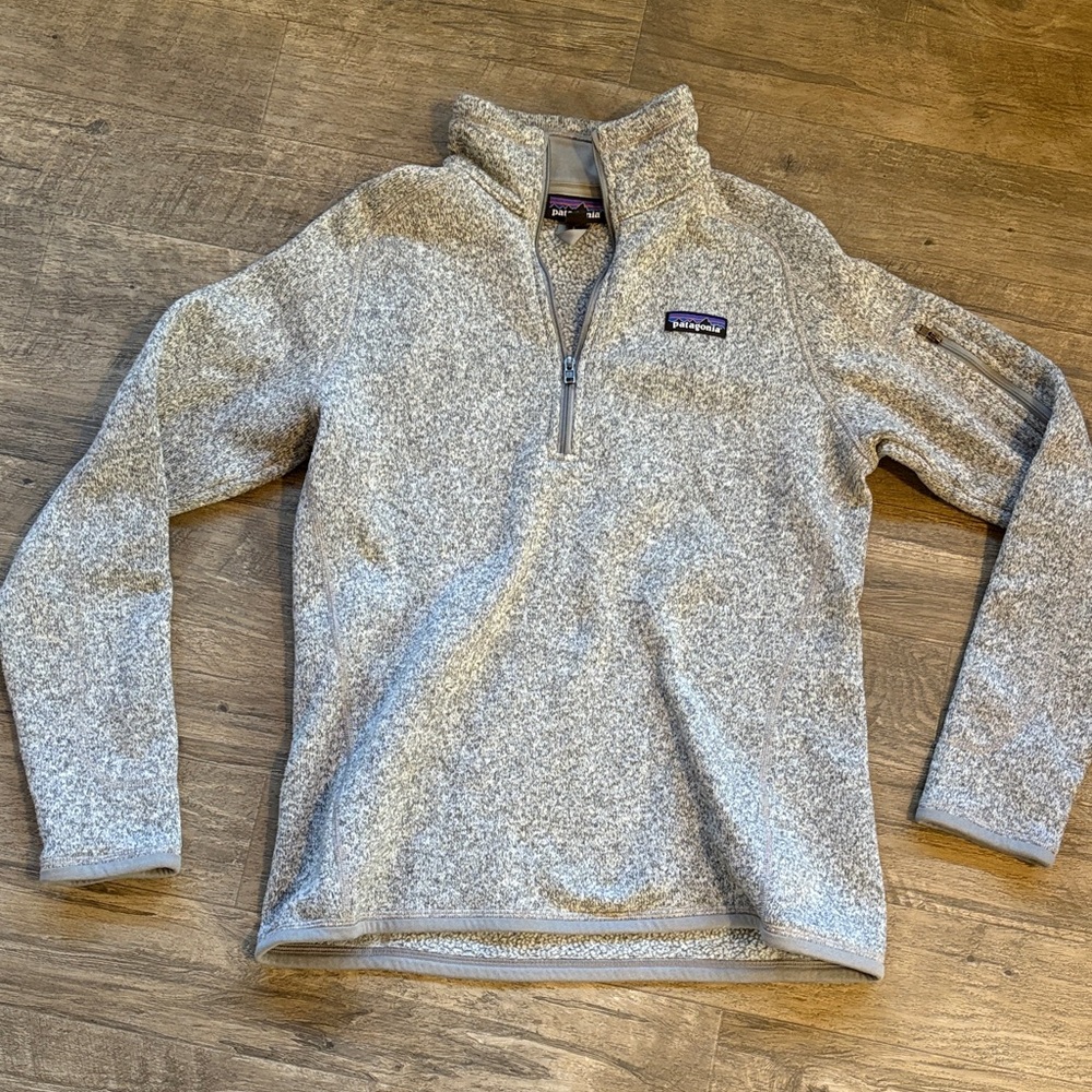 Patagonia Men's Zip-Up Sweater in Light Gray